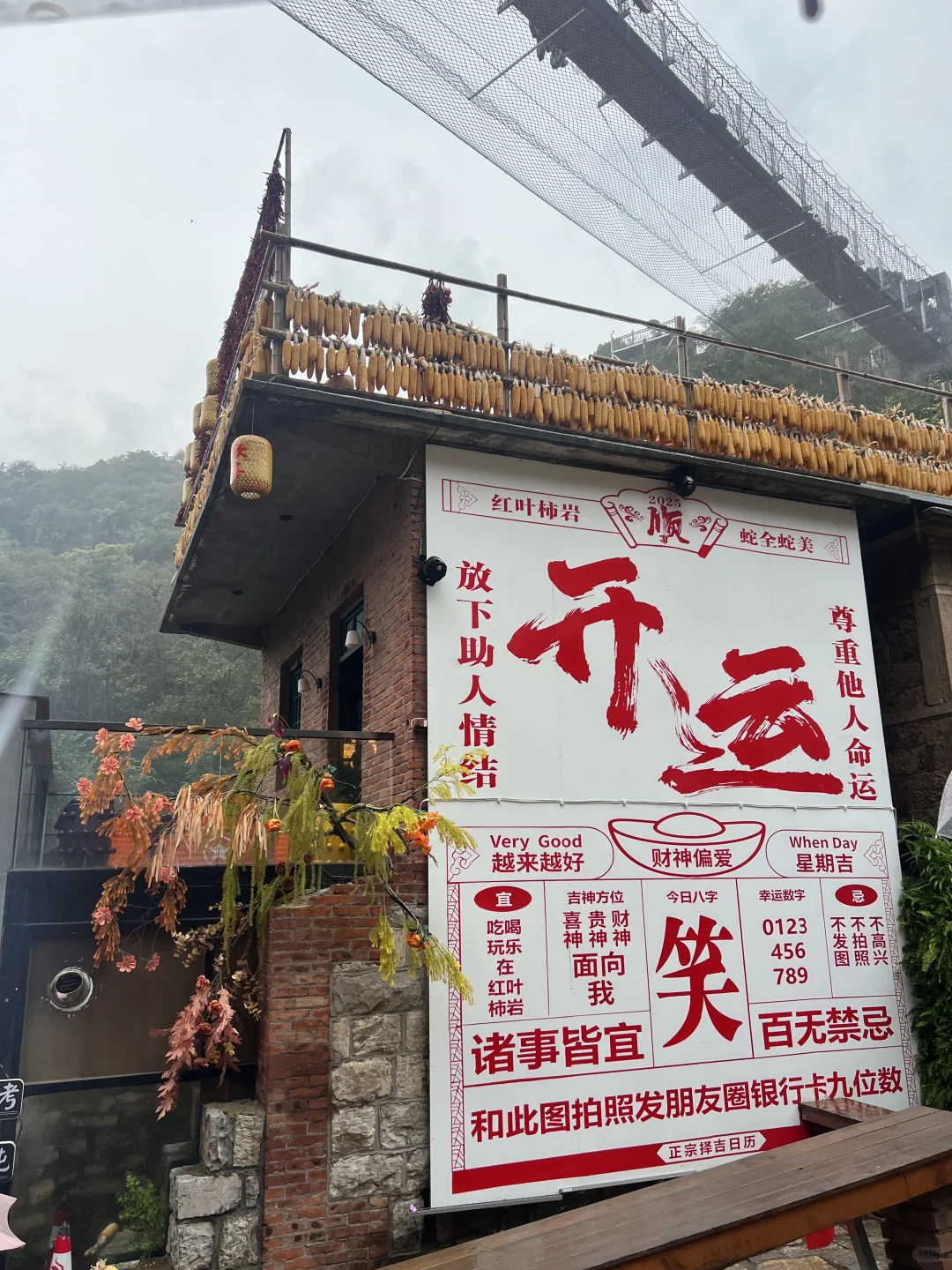 不用远赴婺源，也能get同款晒秋了🍂