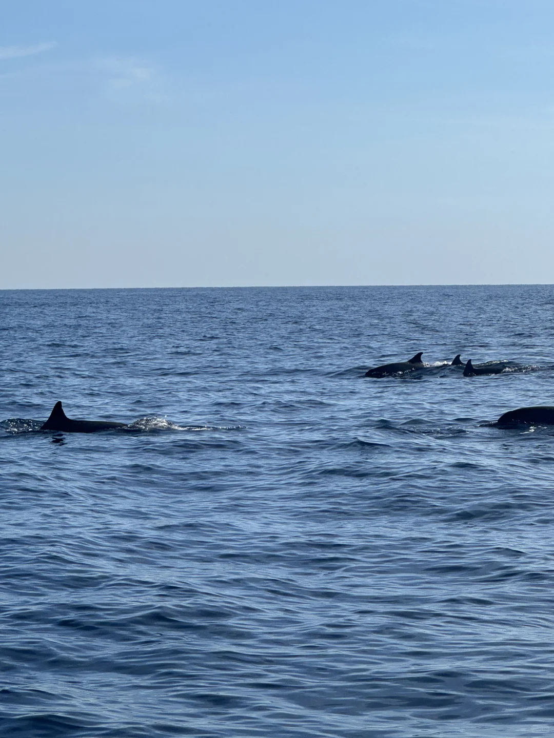 巴厘岛泗水｜7天全方位攻略🇮🇩