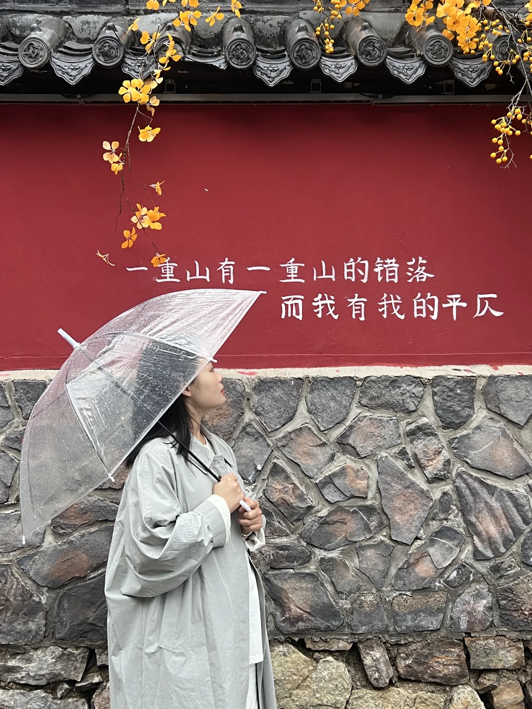 不用远赴婺源，也能get同款晒秋了🍂