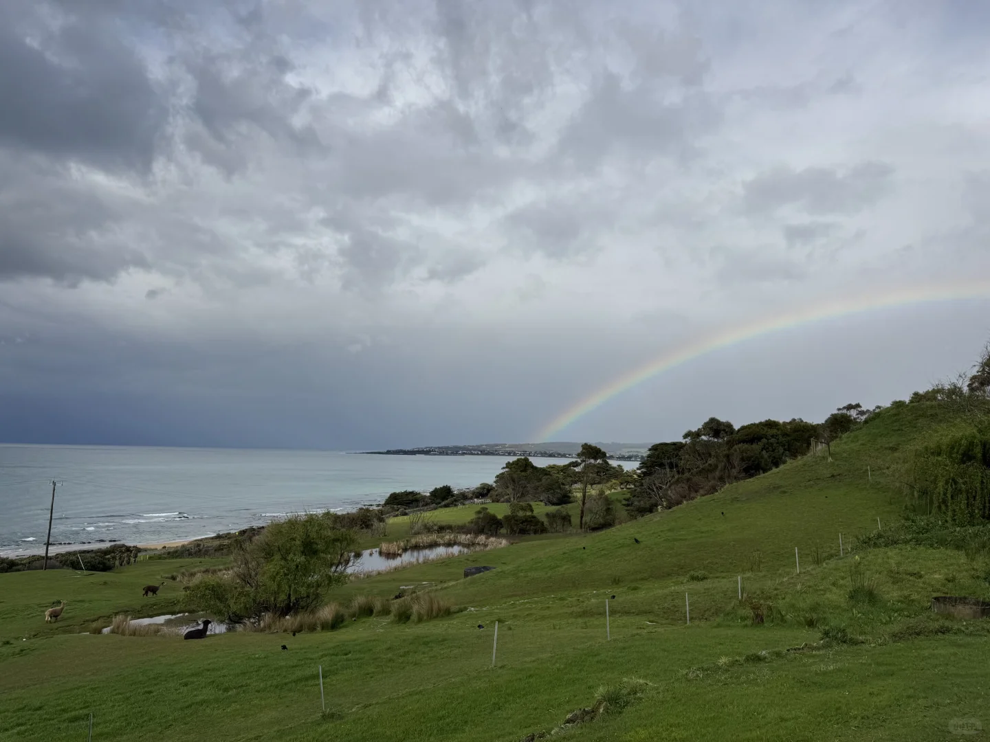 澳洲旅行11天10晚花费