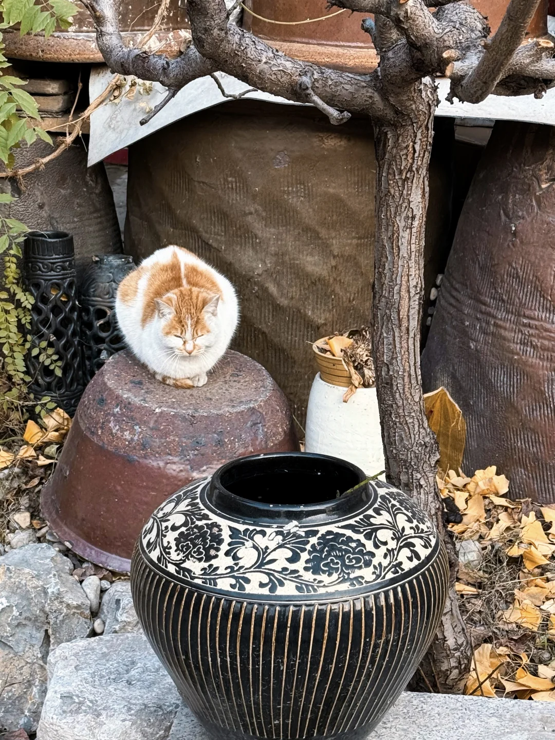 邯郸的！小众宝藏打卡地！真的好有感觉