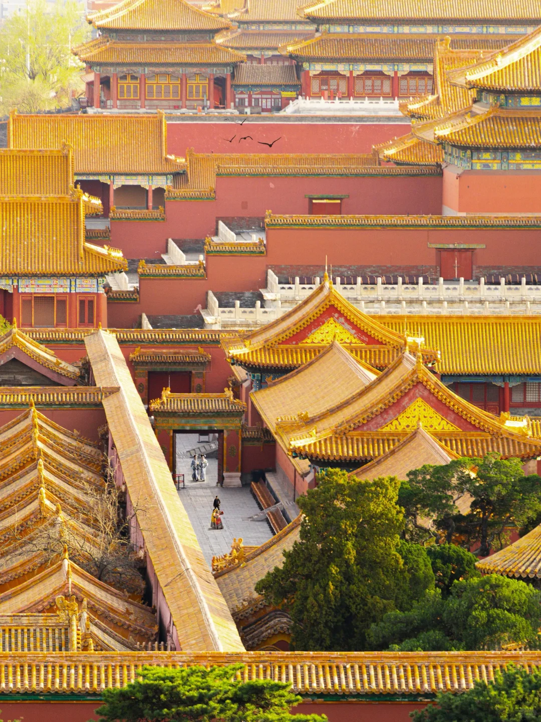 为了组图片特意飞趟中国北京值得吗（附攻略）