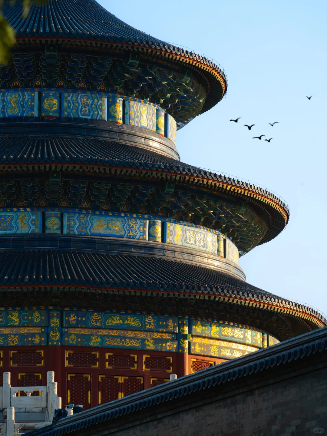 为了组图片特意飞趟中国北京值得吗（附攻略）
