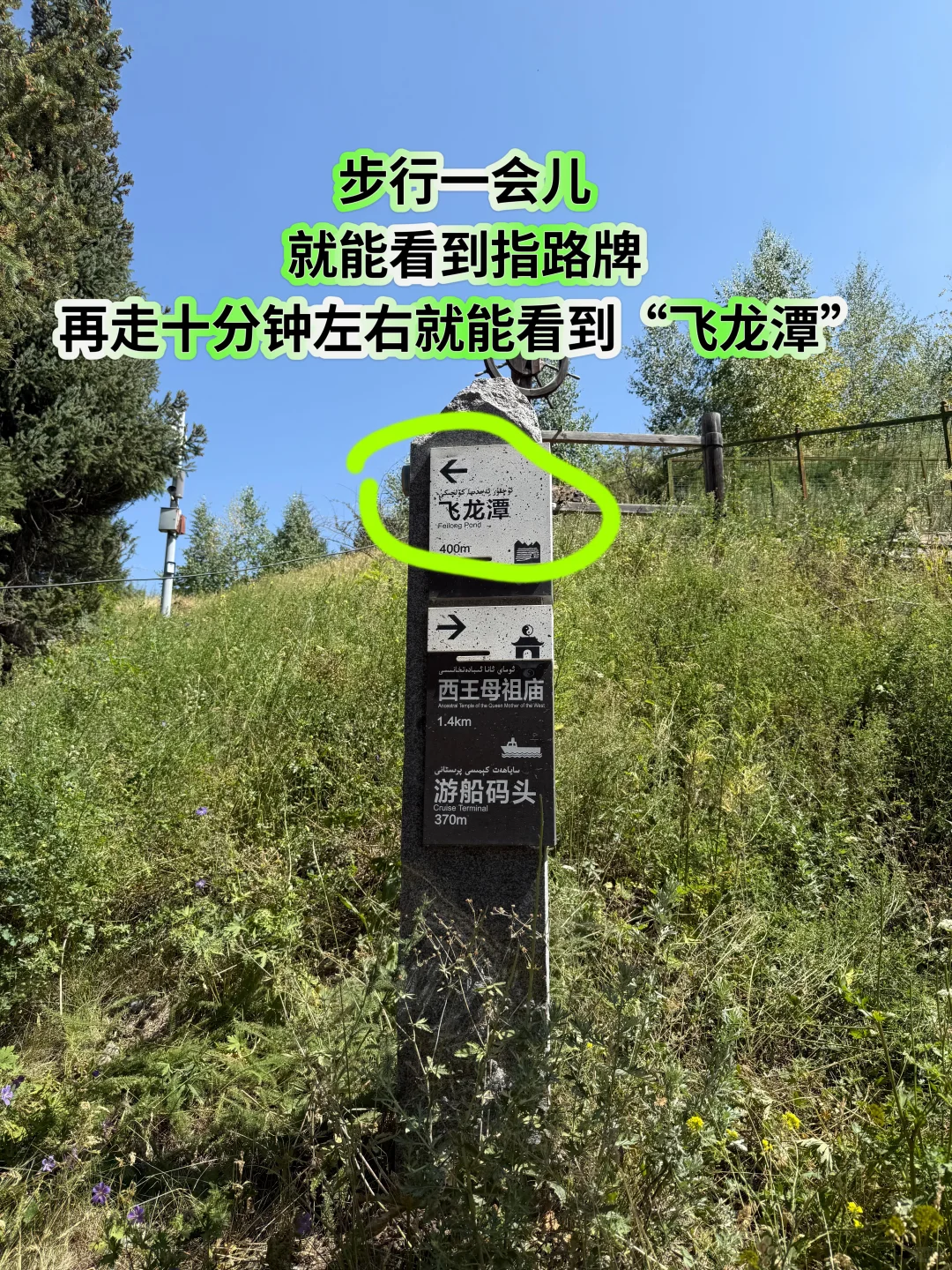 新疆旅行｜天山天池懒人版两小时速玩攻略