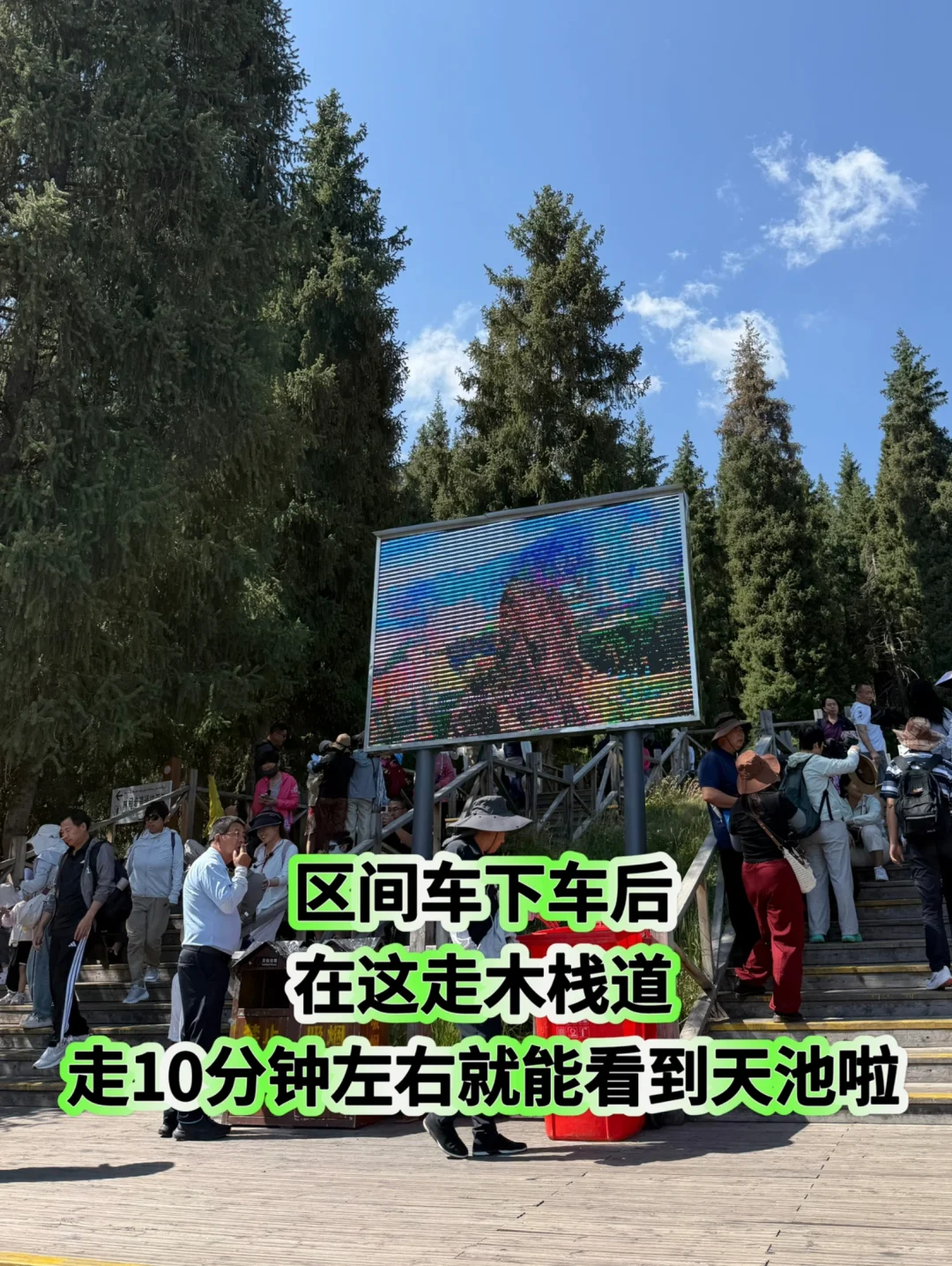 新疆旅行｜天山天池懒人版两小时速玩攻略