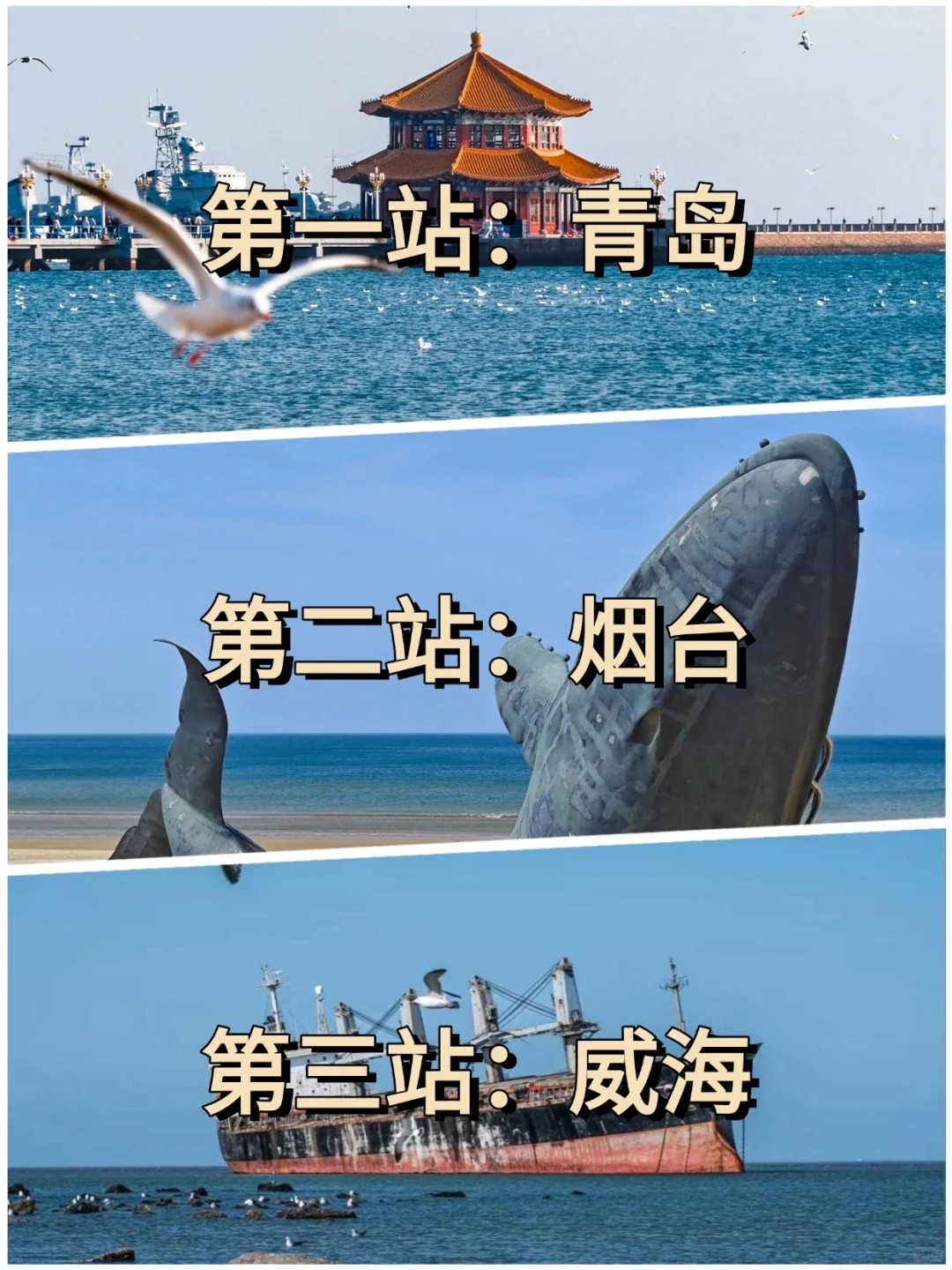青岛-烟台-威海，冬季旅游攻略一篇就够✨