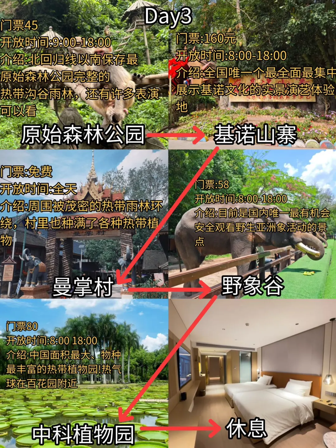 别再瞎玩西双版纳了!看完这篇再出发 👋家人