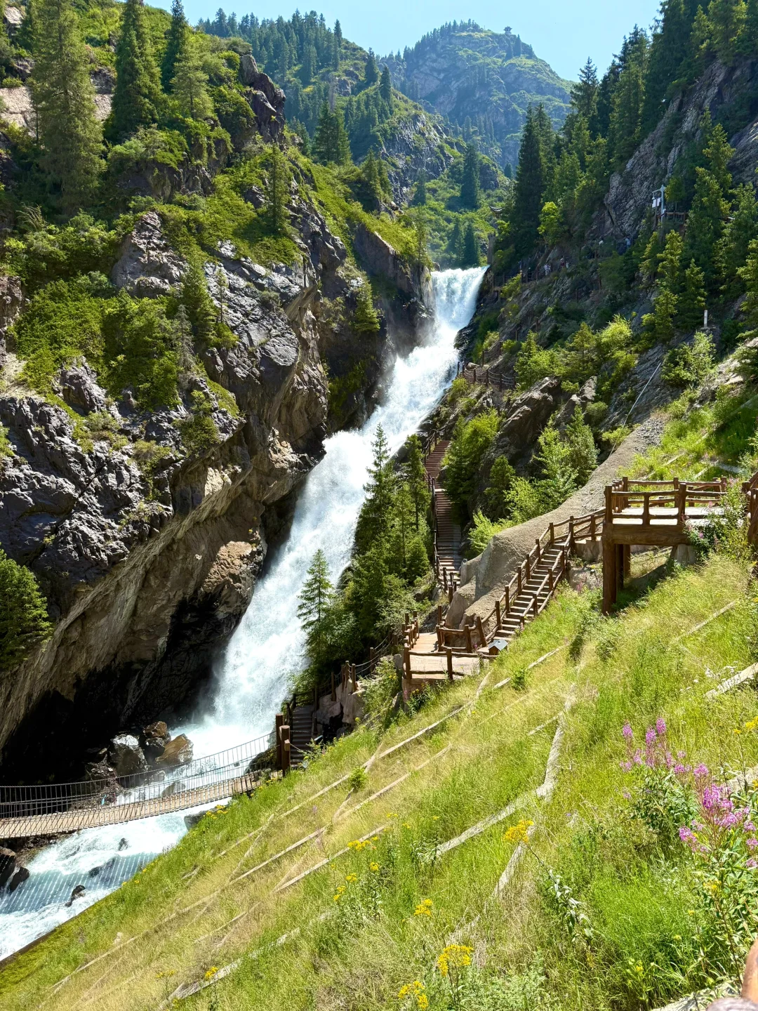 新疆旅行｜天山天池懒人版两小时速玩攻略
