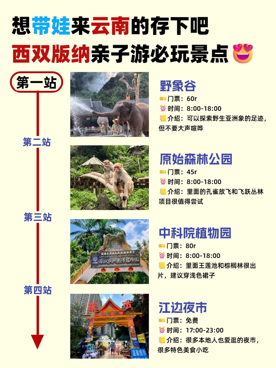 国庆千万别错过‼️云南亲子游超全攻略🌾