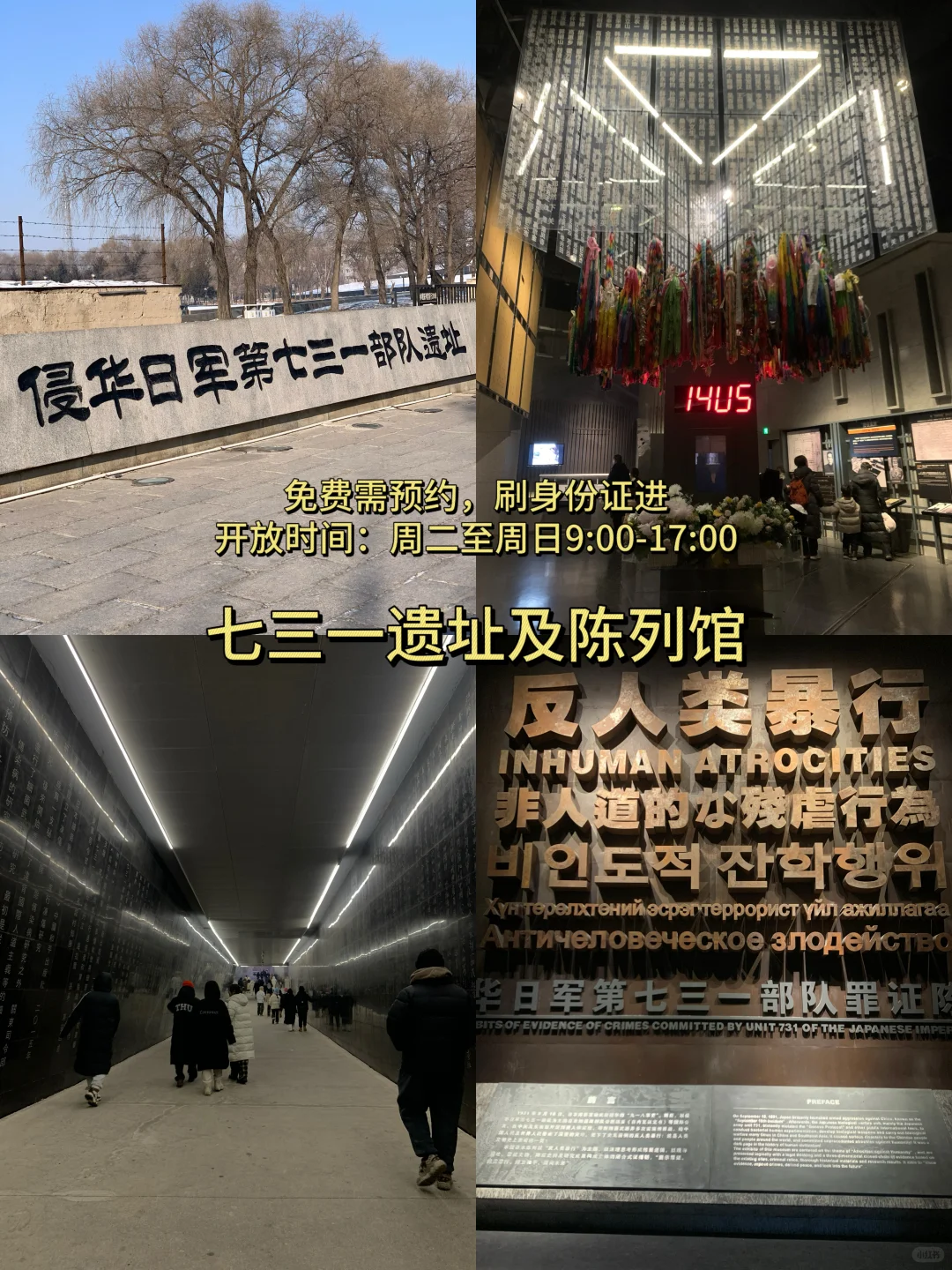 哈尔滨三天两晚！！人均500💰保姆级超全攻略