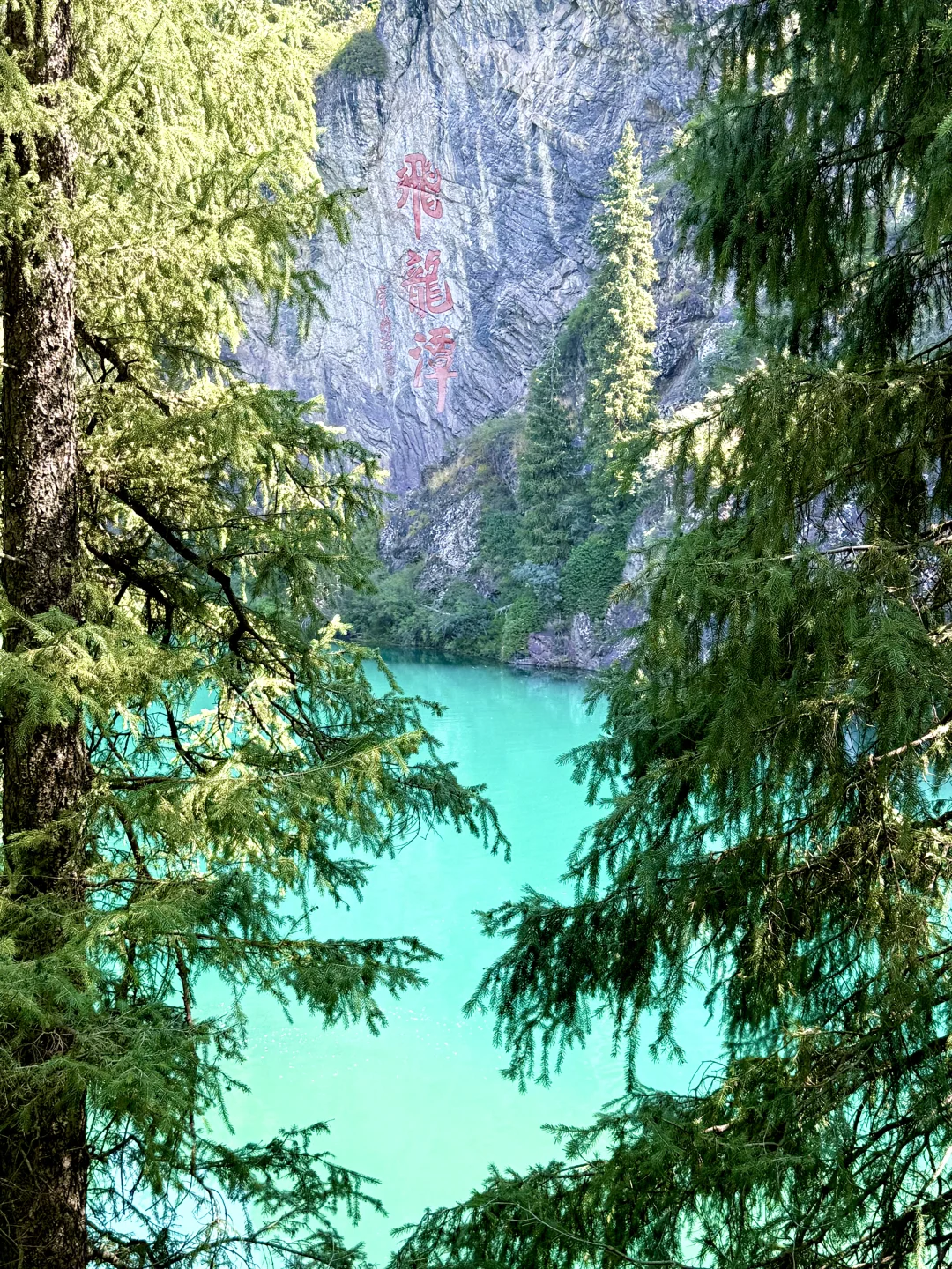 新疆旅行｜天山天池懒人版两小时速玩攻略