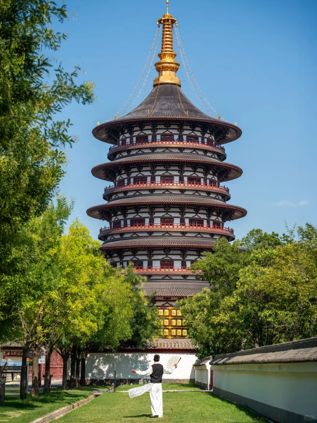 为了这18张照片…我特意飞了一趟洛阳🏯