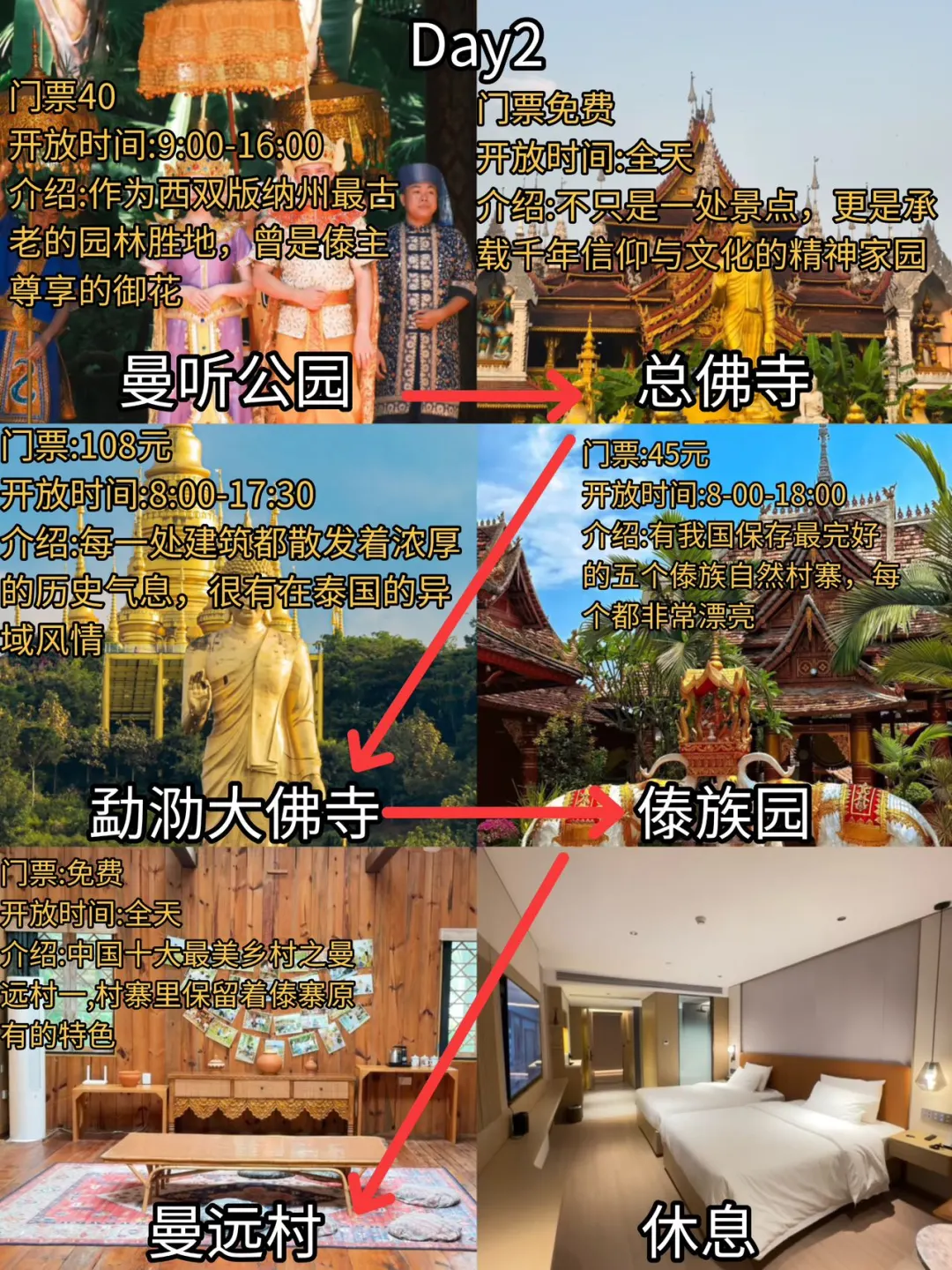 别再瞎玩西双版纳了!看完这篇再出发 👋家人