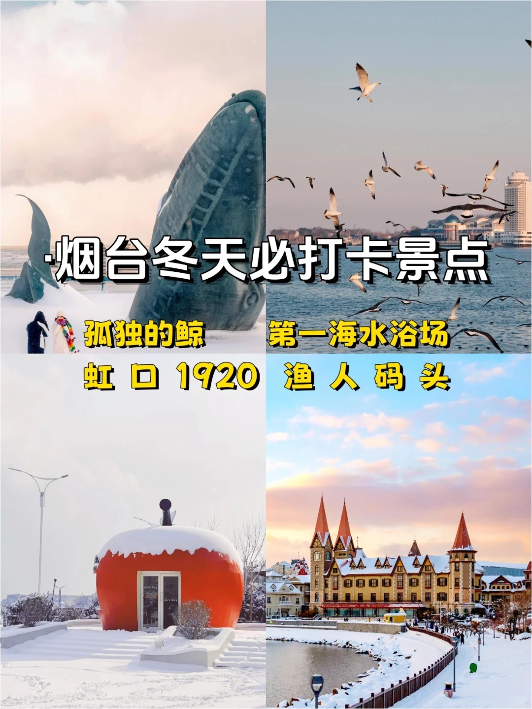 青岛-烟台-威海，冬季旅游攻略一篇就够✨