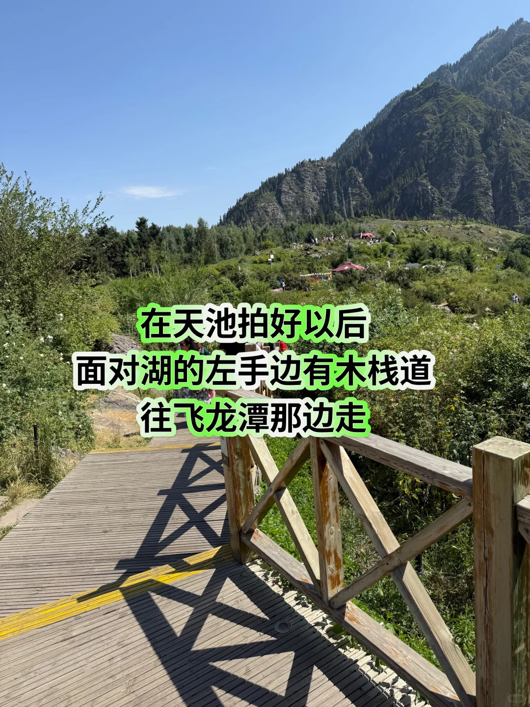 新疆旅行｜天山天池懒人版两小时速玩攻略