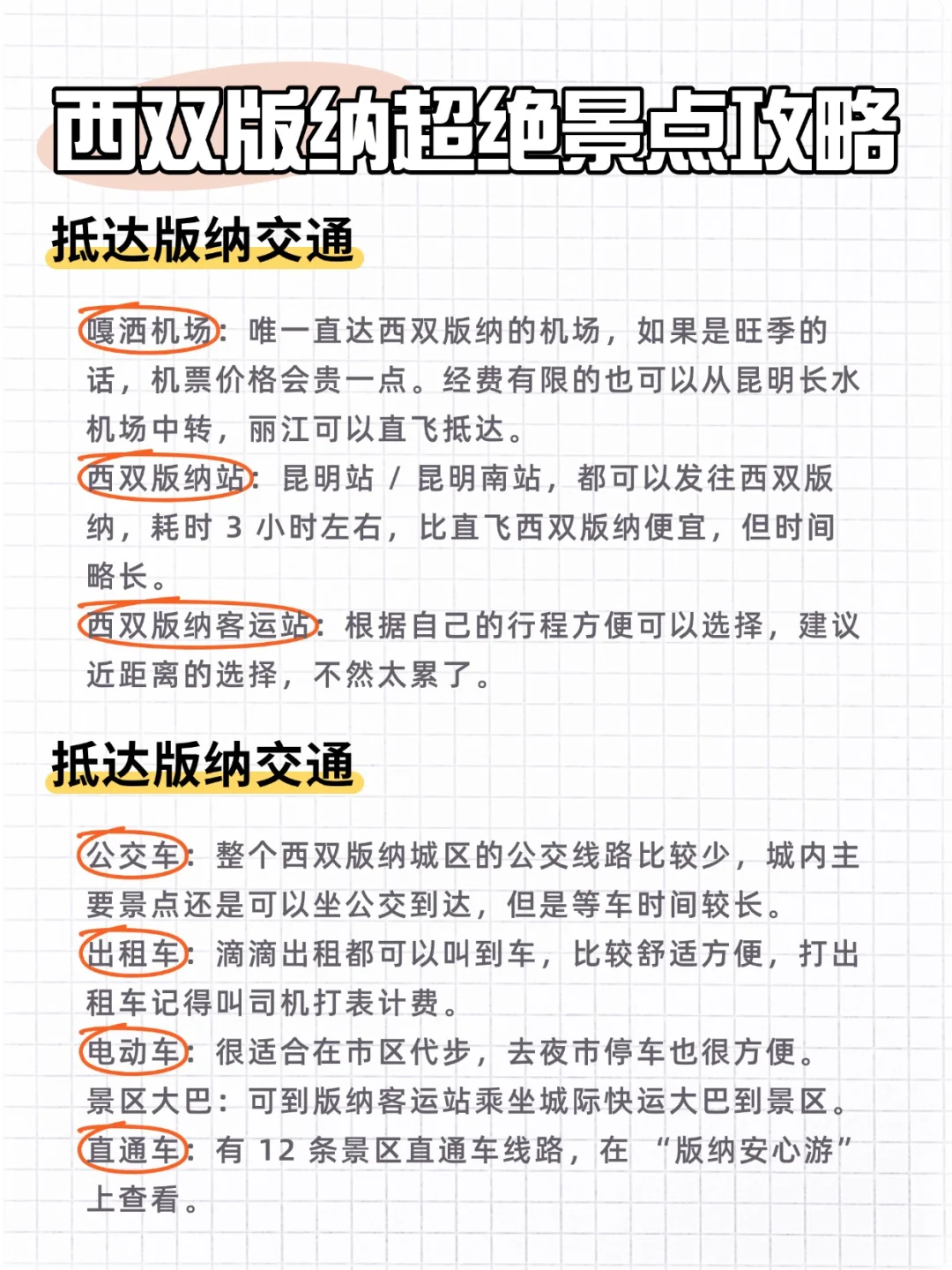 西双版纳旅游攻略‼️小白直接抄作业！