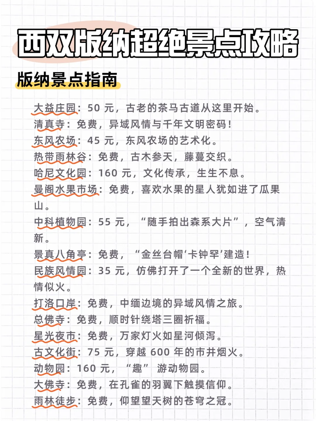 西双版纳旅游攻略‼️小白直接抄作业！