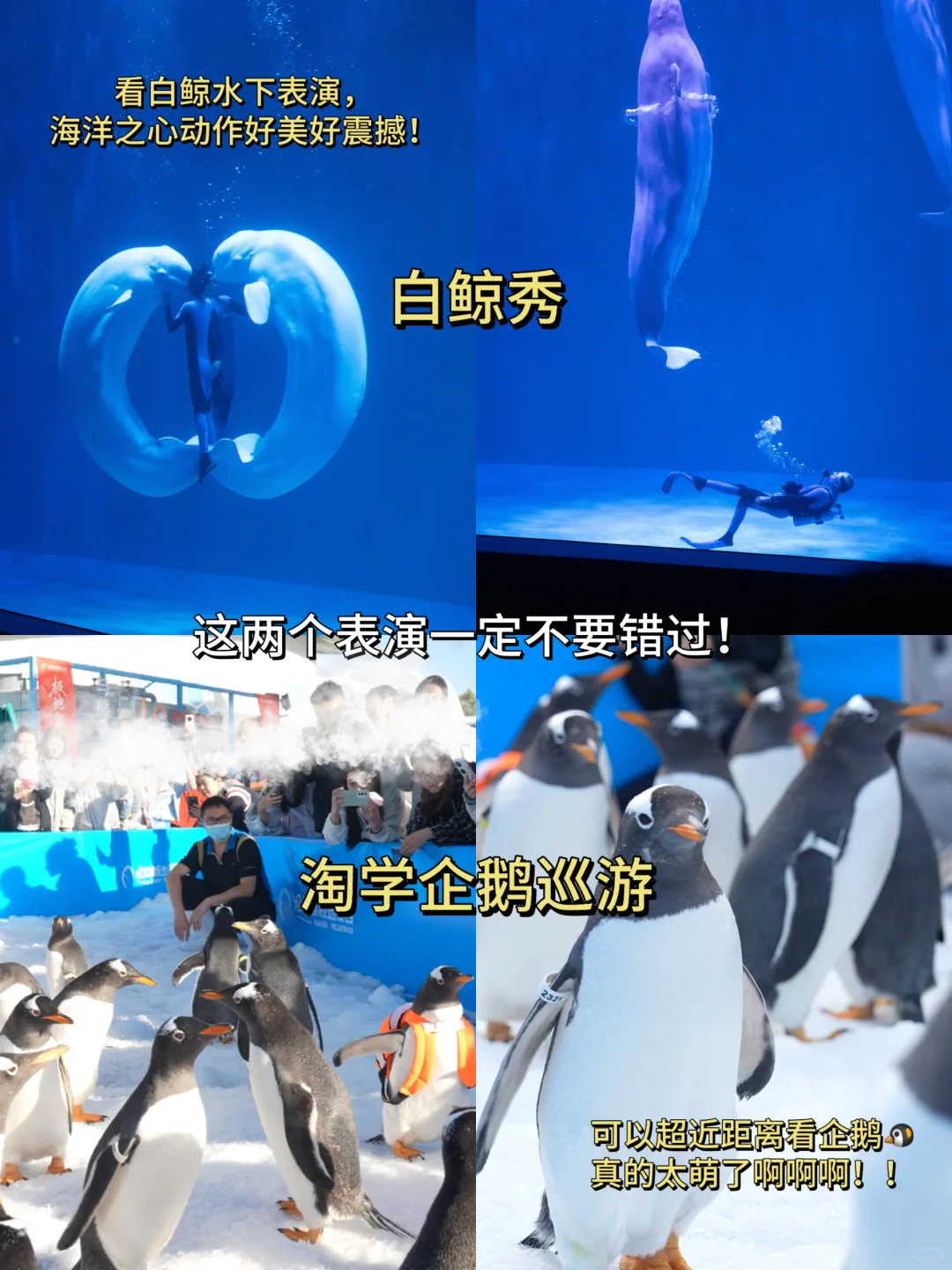 哈尔滨三天两晚！！人均500💰保姆级超全攻略