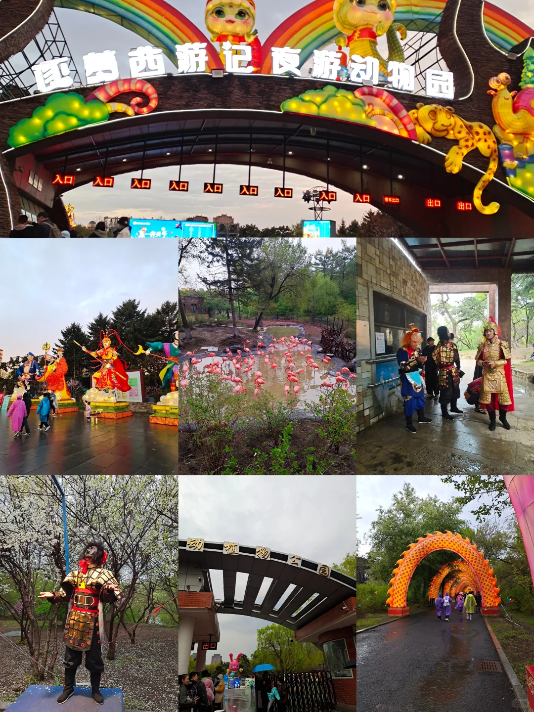 长春两天一晚游玩攻略