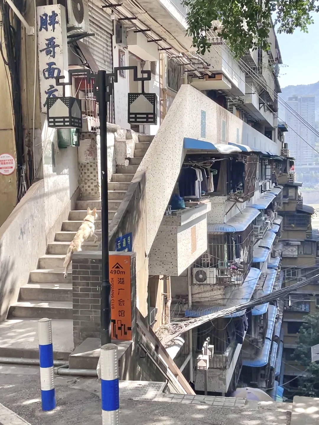 对自己熬夜做的重庆三日游攻略满意得睡不着