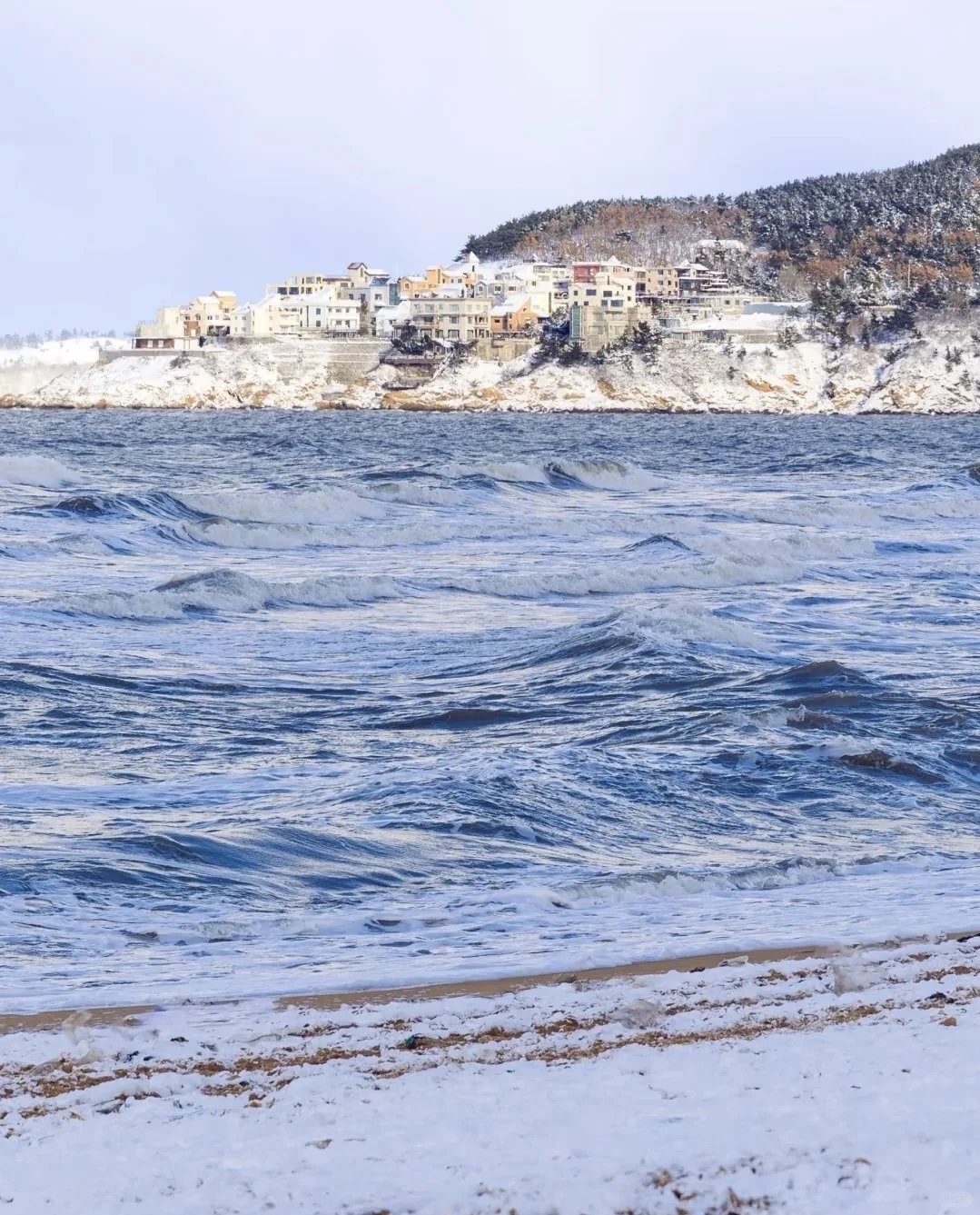 2025冬日去威海攻略