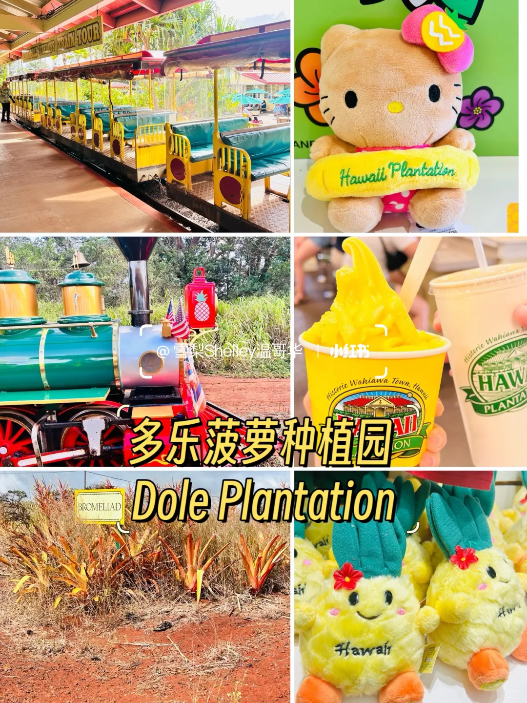 🏝️玩转夏威夷欧胡岛❗️超全攻略1️⃣ 📒💯