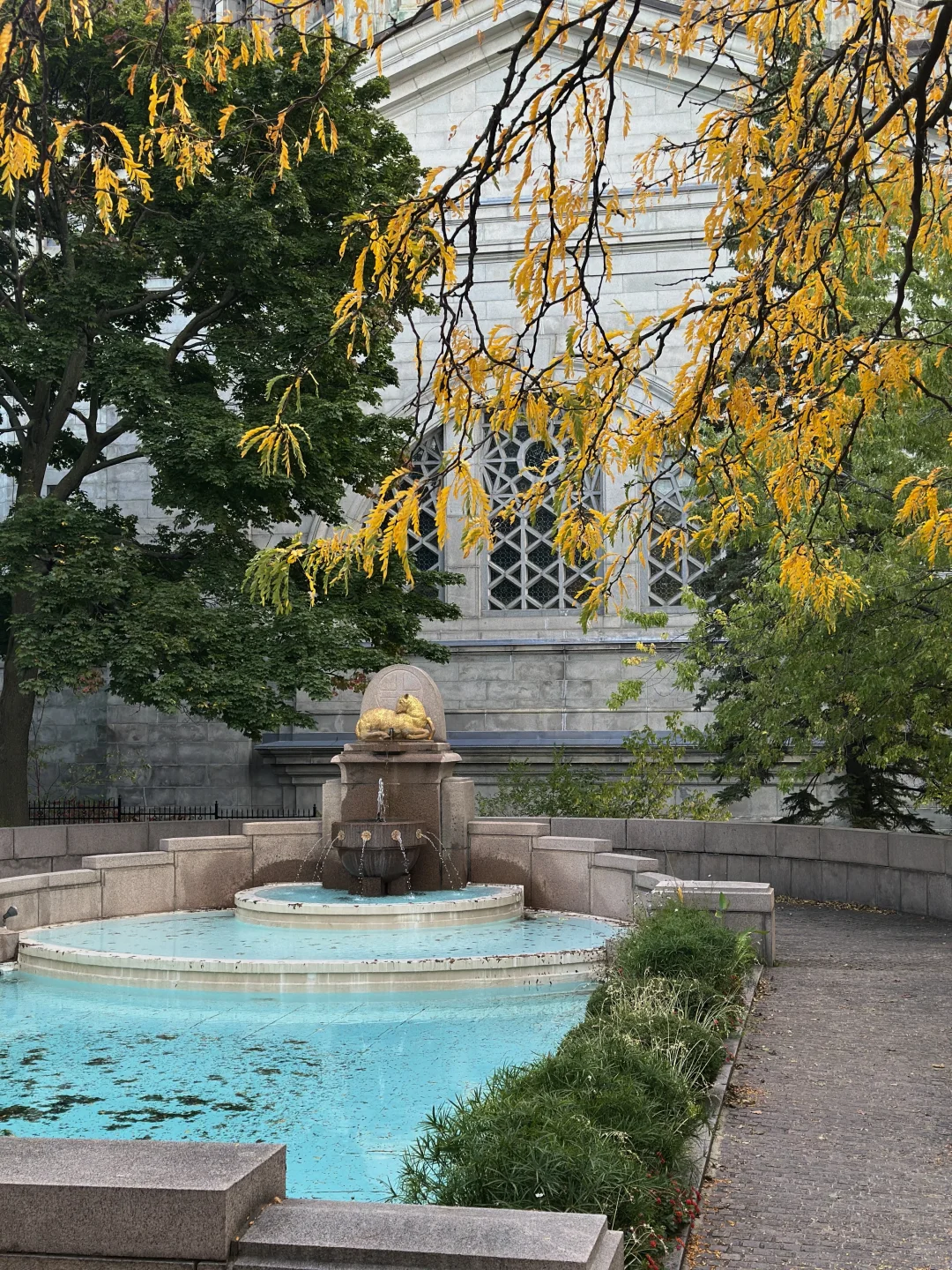 🇨🇦加东|环线自驾游🚗附详细路线攻略-上