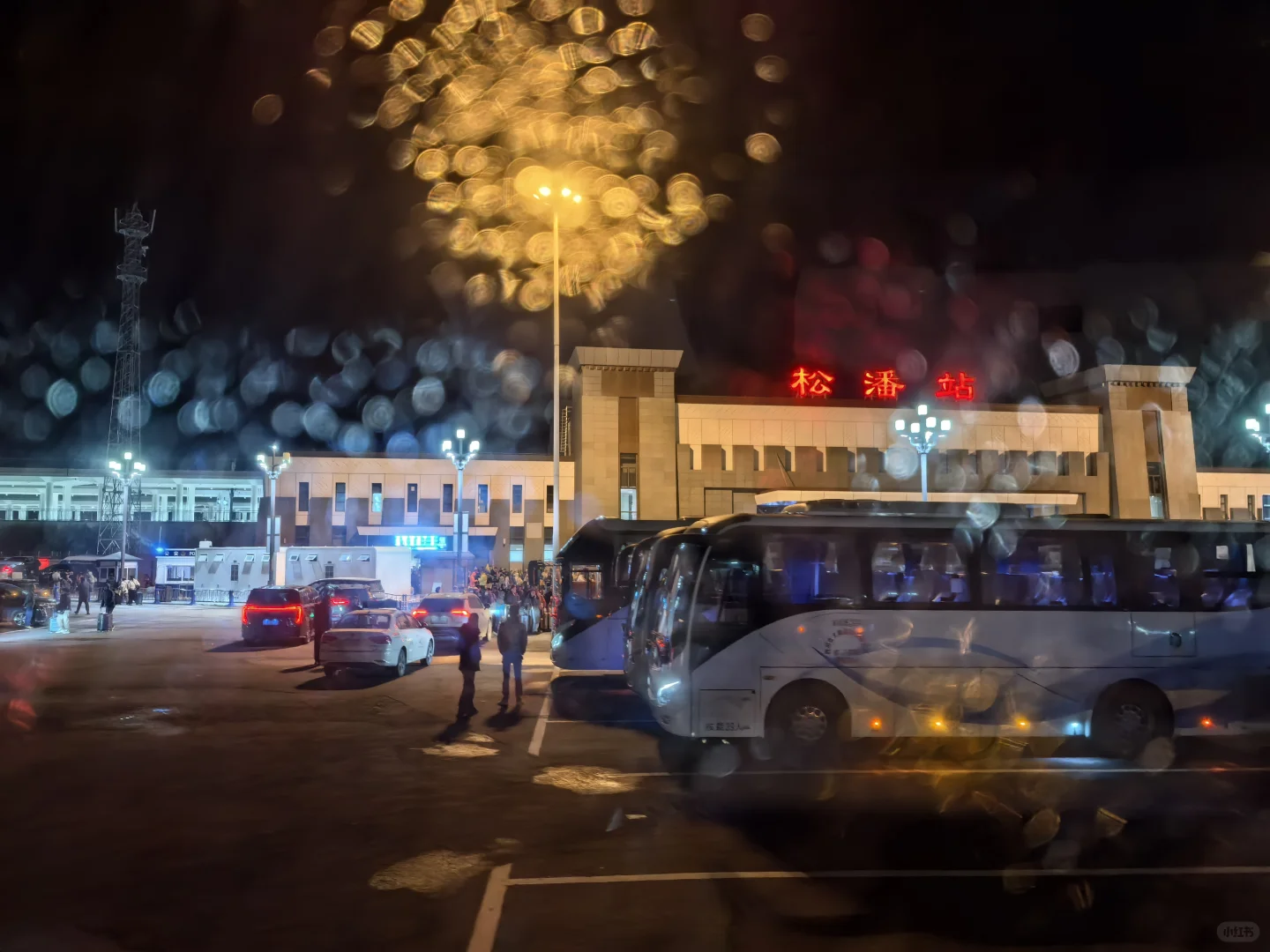 九寨沟旅游攻略，彩林季刚回，有问必答