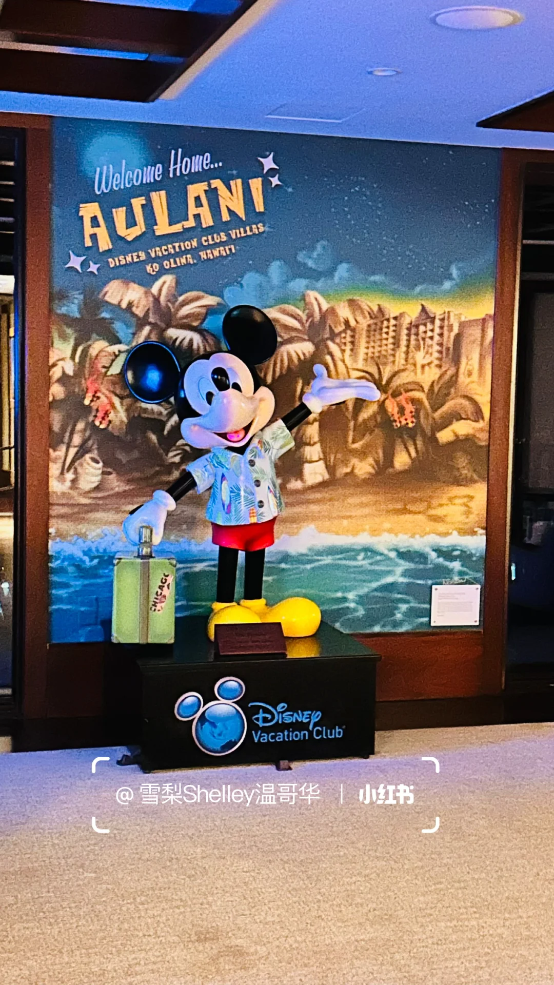 🏝️玩转夏威夷欧胡岛❗️超全攻略1️⃣ 📒💯