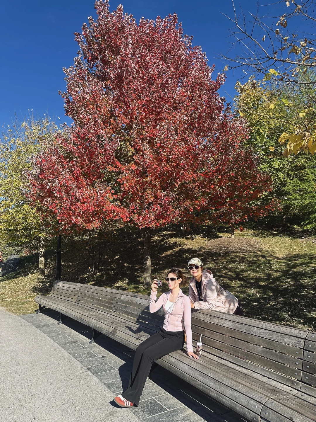 🇨🇦加东|环线自驾游🚗附详细路线攻略-上