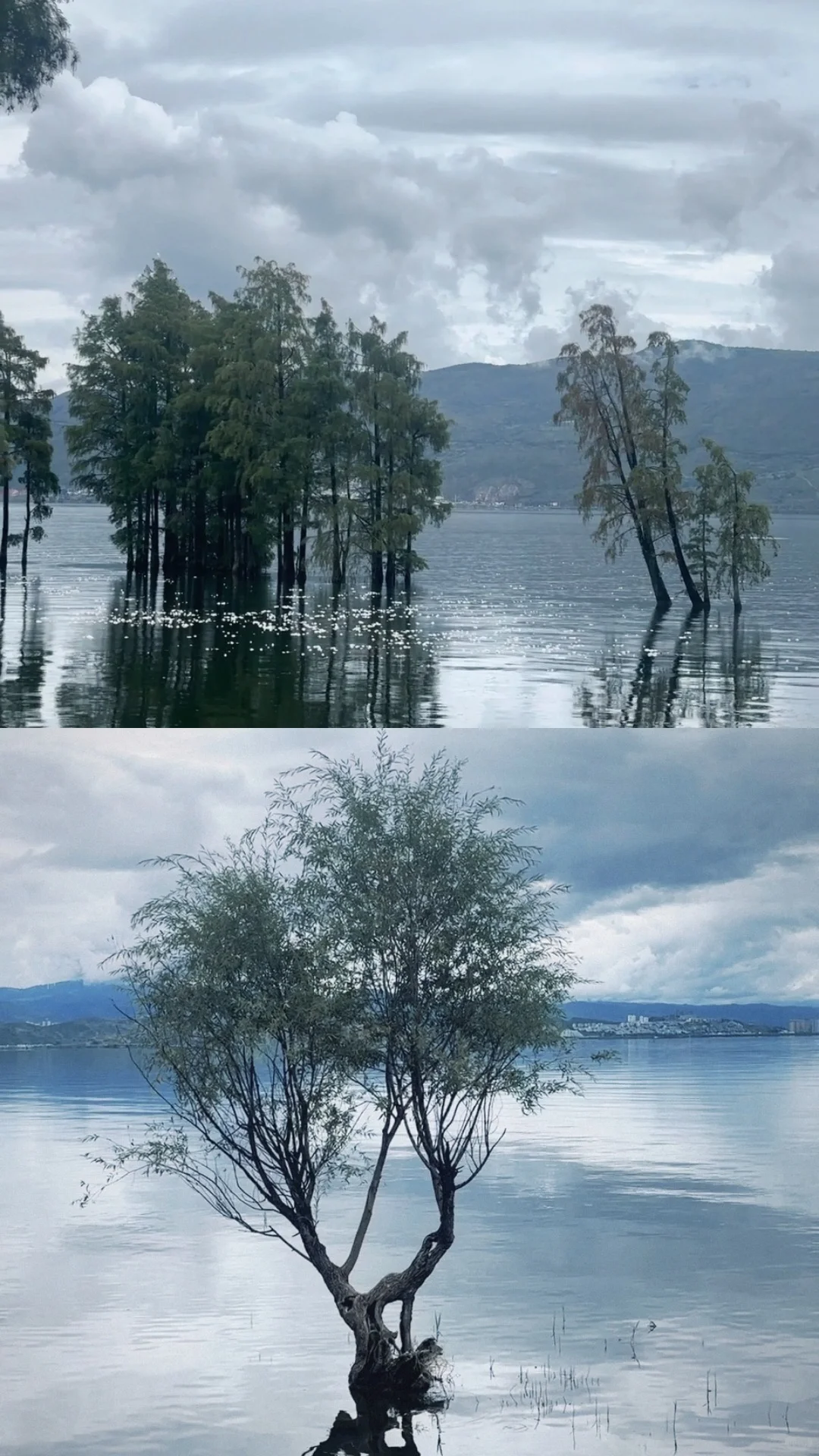 大理旅游攻略📸懒人自由行计划