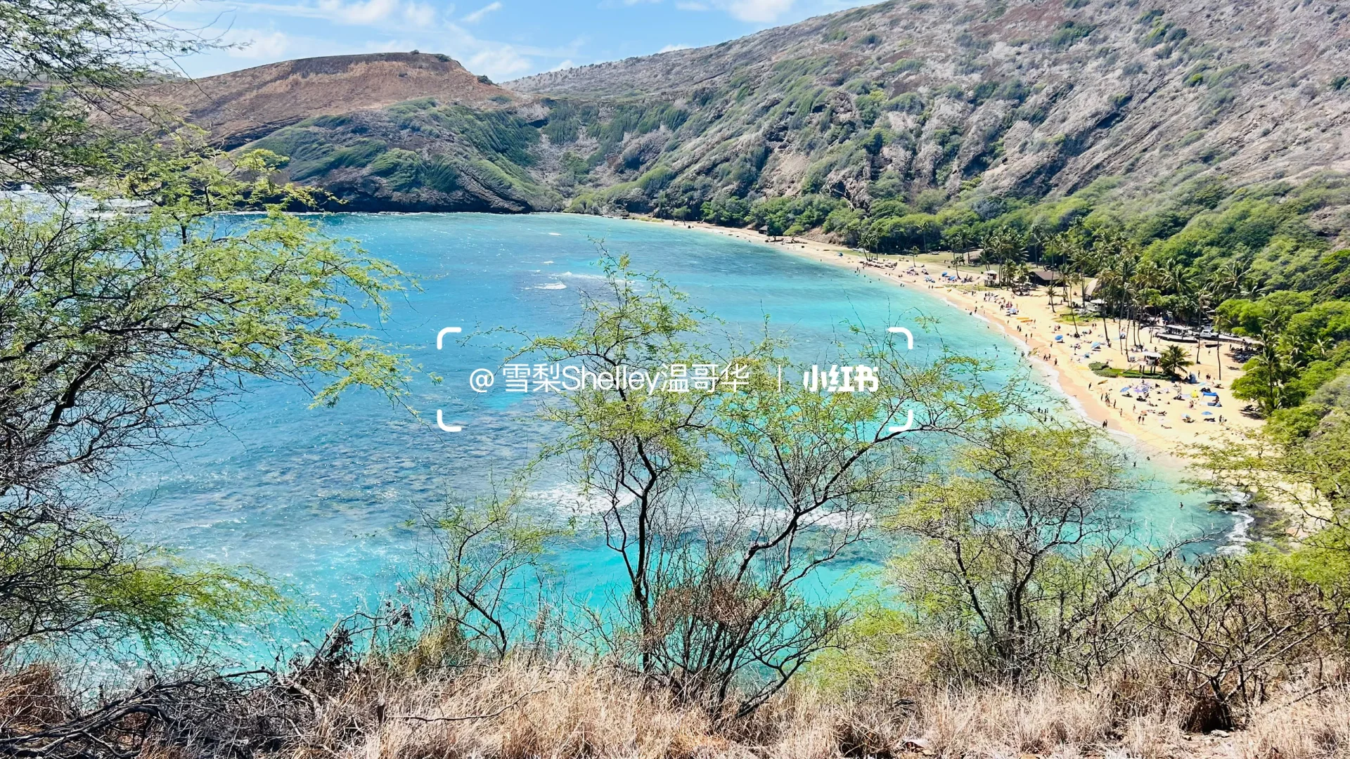 🏝️玩转夏威夷欧胡岛❗️超全攻略1️⃣ 📒💯