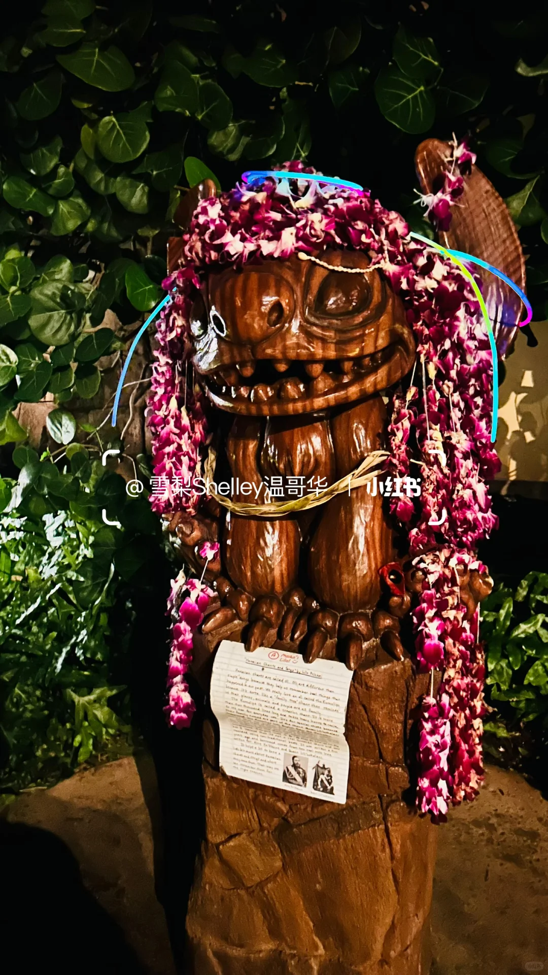 🏝️玩转夏威夷欧胡岛❗️超全攻略1️⃣ 📒💯