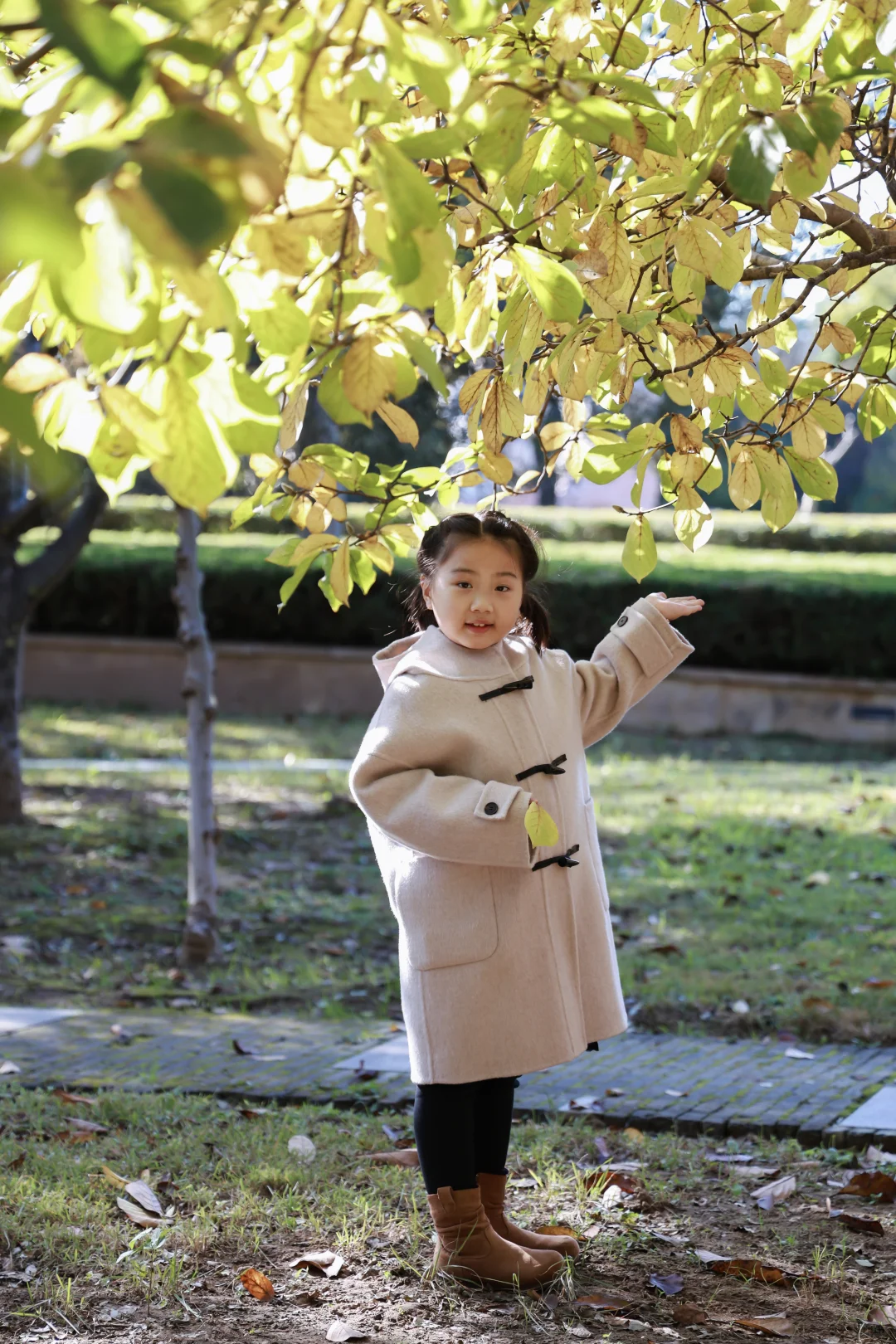 寿光弥河景区秋色正浓--银杏大道