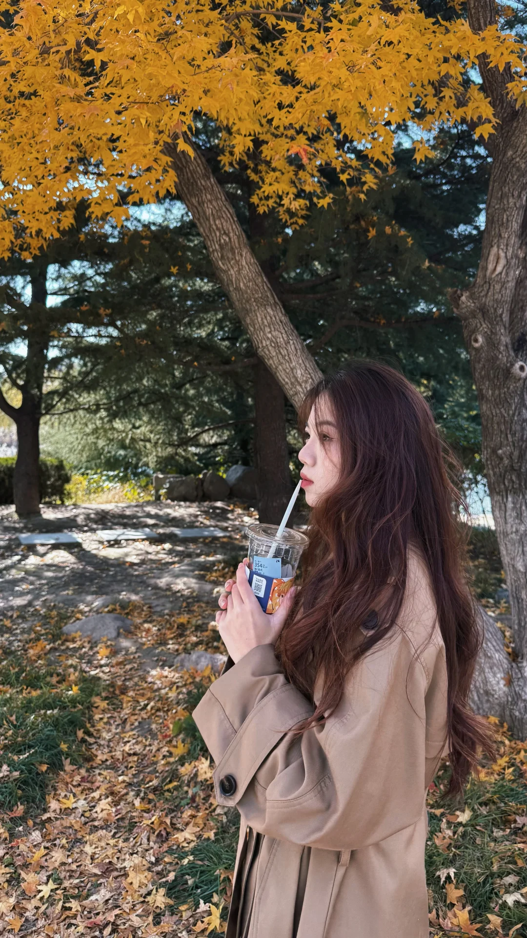 抓住枫叶🍁的尾巴|潍坊浞河公园