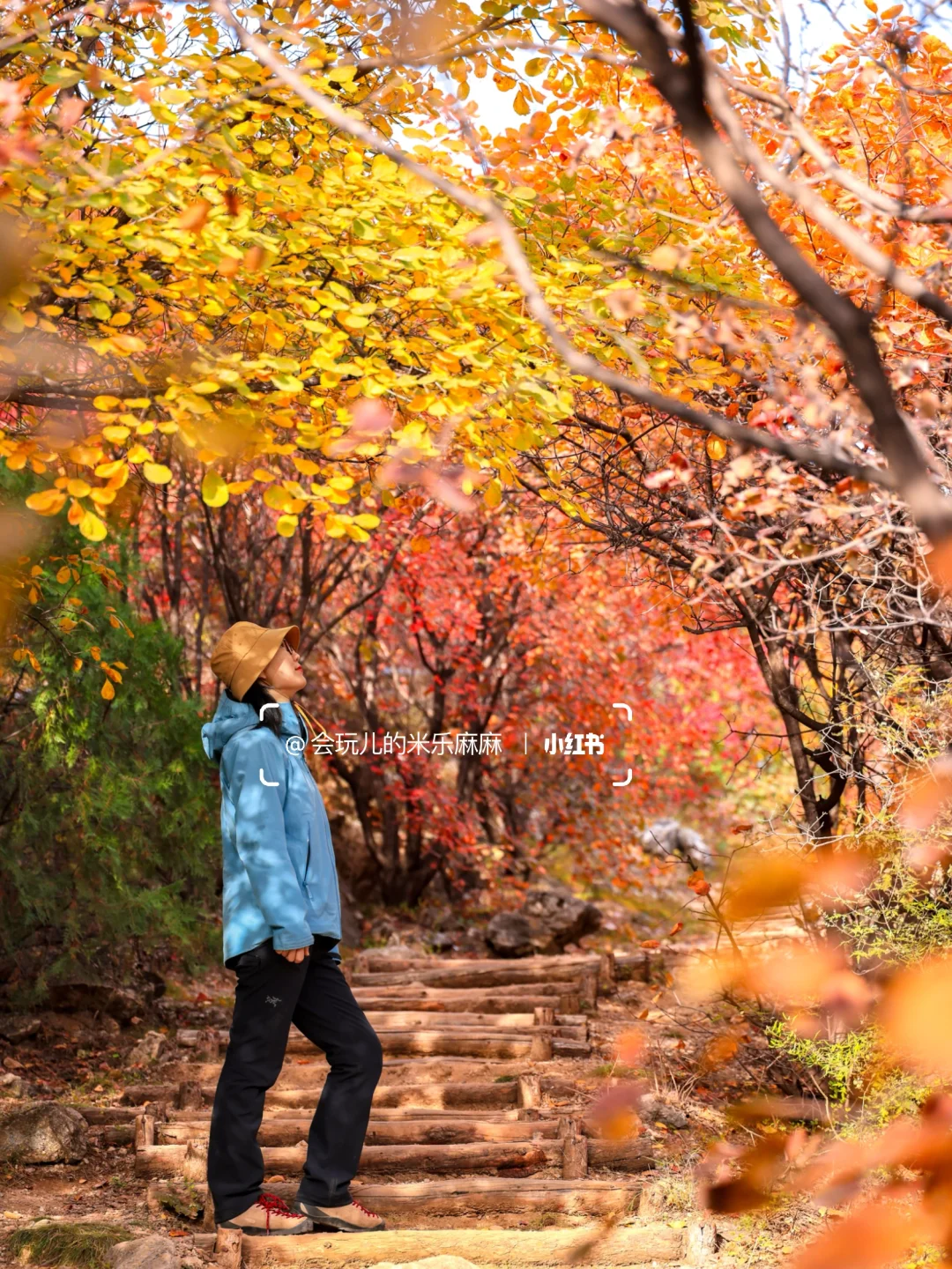 10.27北京五花山打翻调色盘!🎨老幼皆宜路线