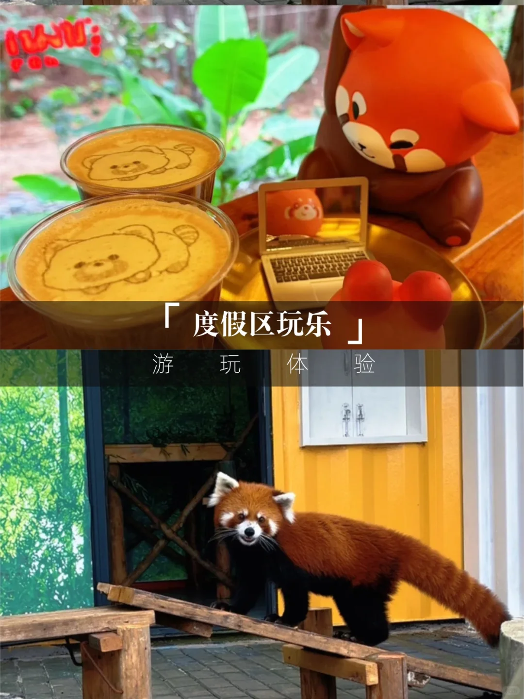 说一句江苏阿勒泰不过分吧🥳茅山森林世界