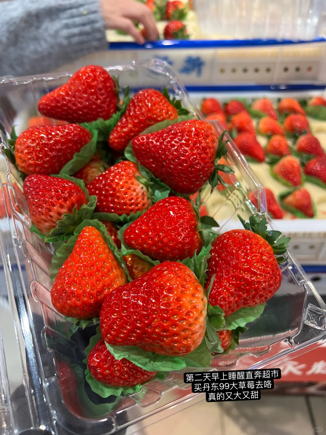 ❣️长白山旅游plog(看见天池版)