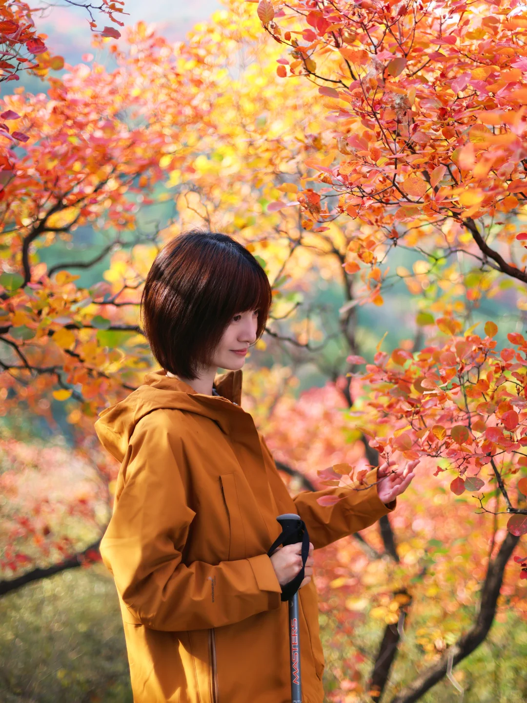 北京30分钟登顶‼️无痛赏红叶🍁公交直达