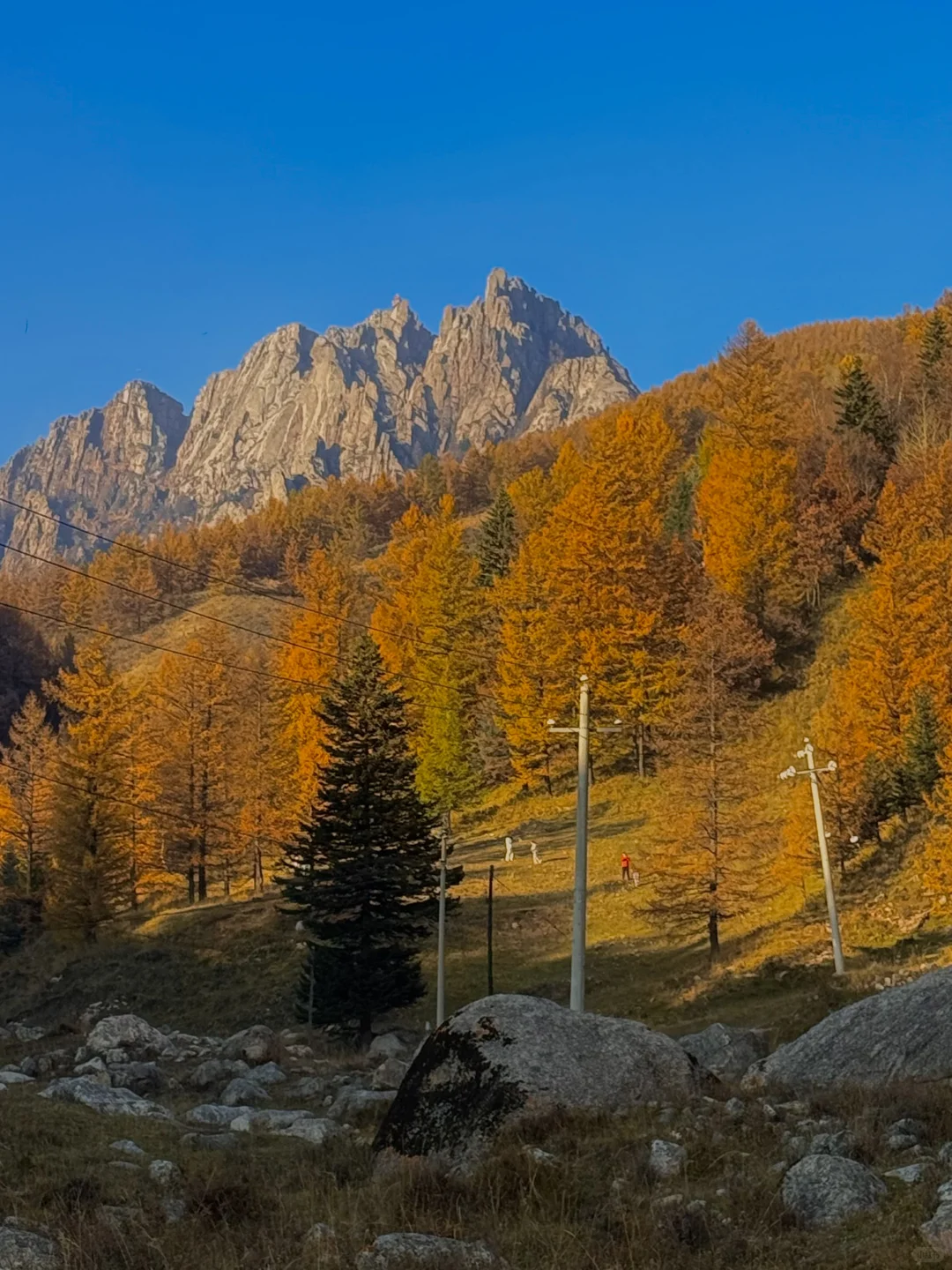 芦芽山🍁｜山西版阿勒泰秋天是最浪漫的季节