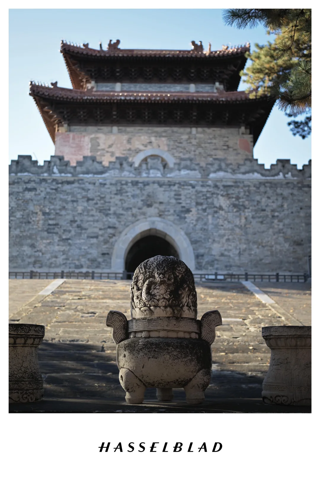 打卡北京十三陵最美的秋天