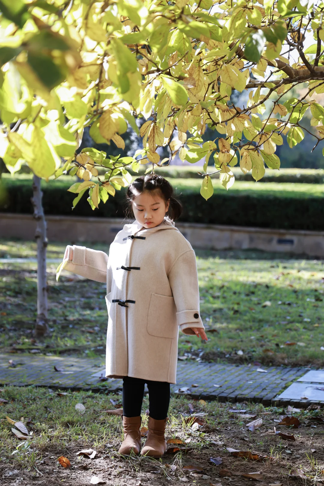 寿光弥河景区秋色正浓--银杏大道