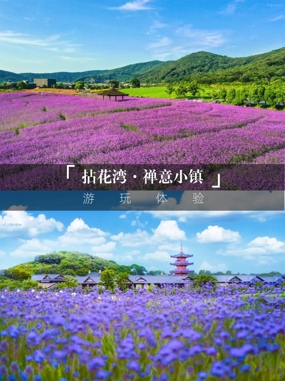 住景区内送拈花湾年卡💥双11诚意拉满