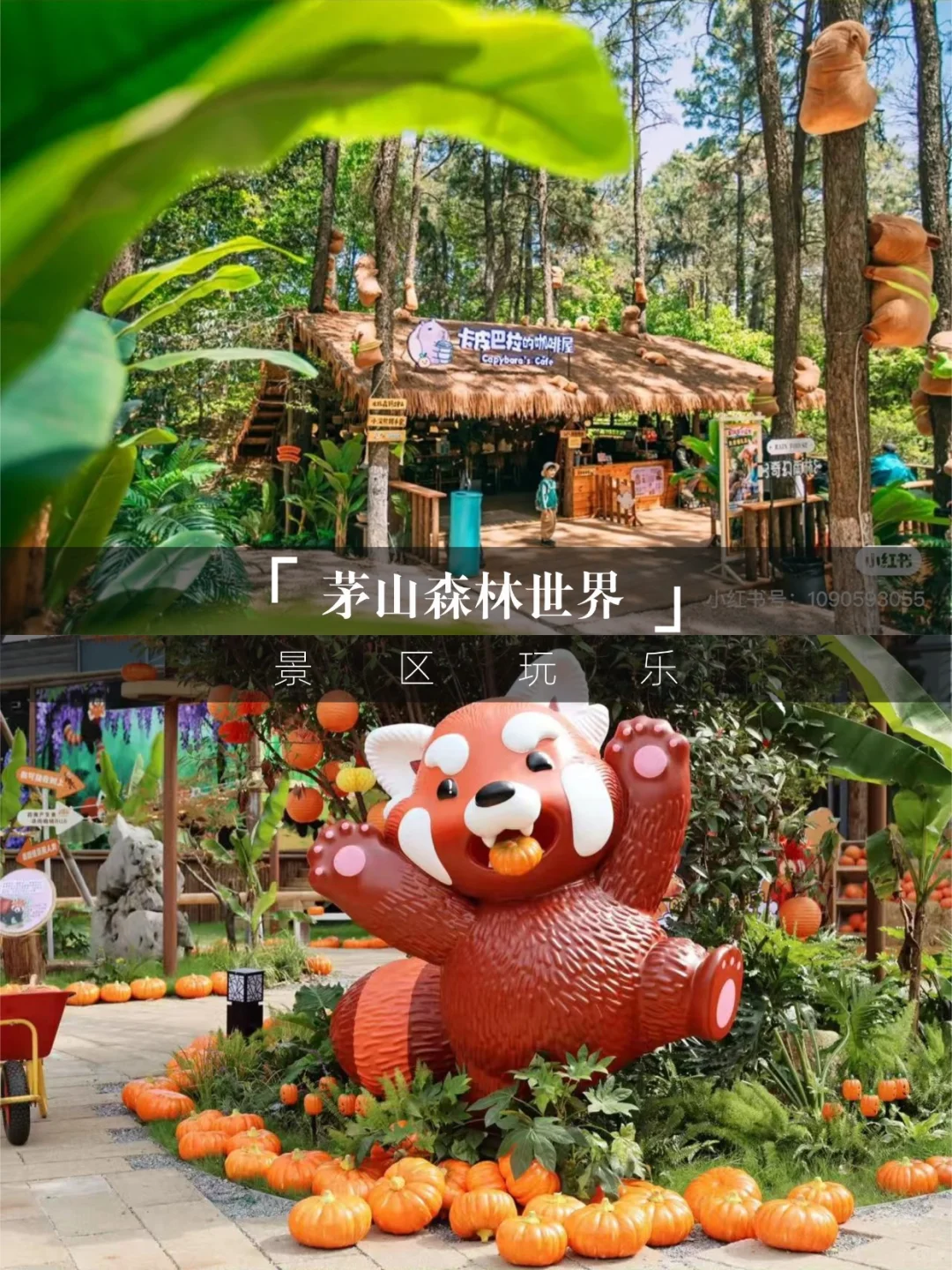 说一句江苏阿勒泰不过分吧🥳茅山森林世界