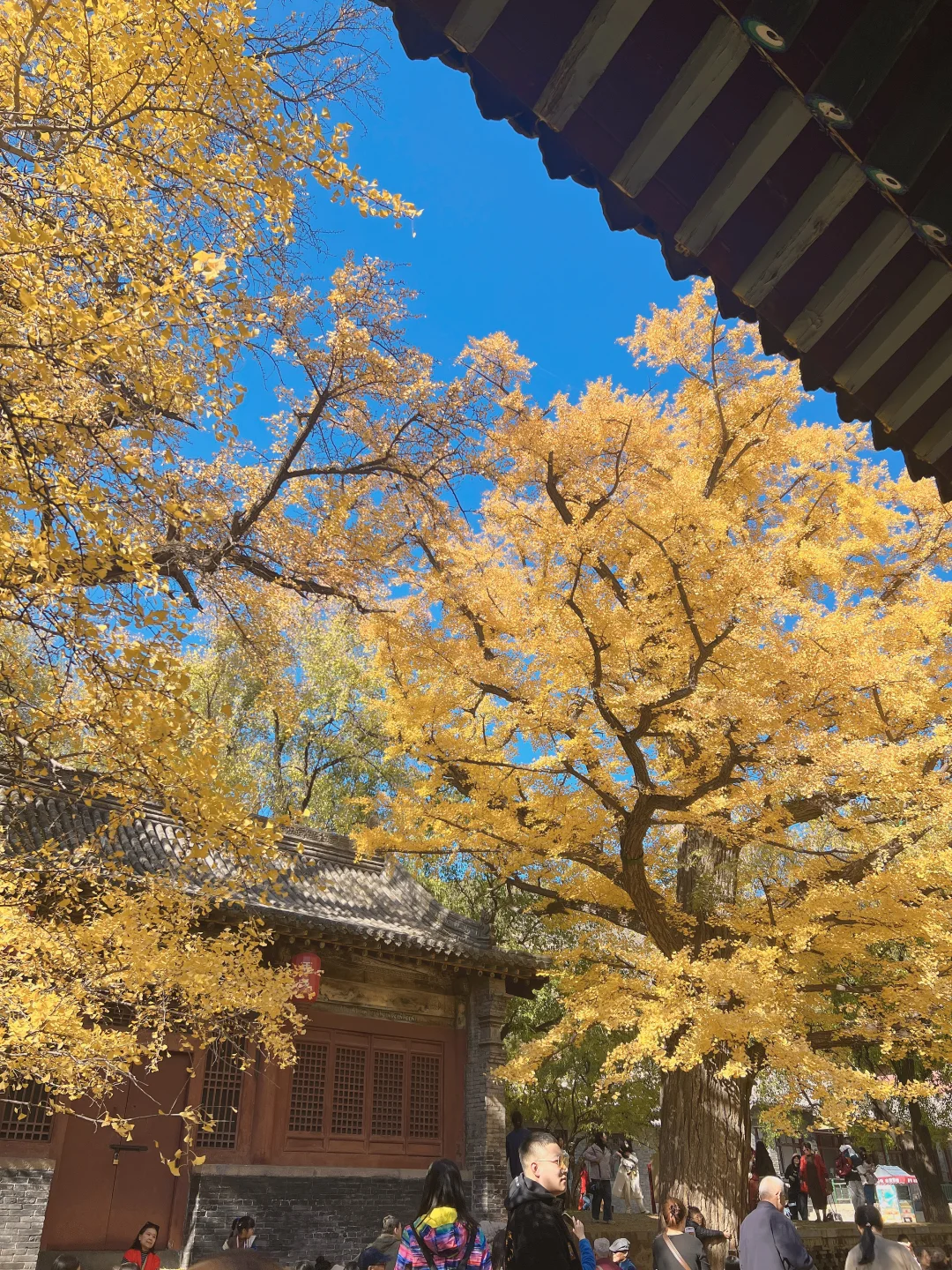 秋日和太原晋祠不要太搭❤️