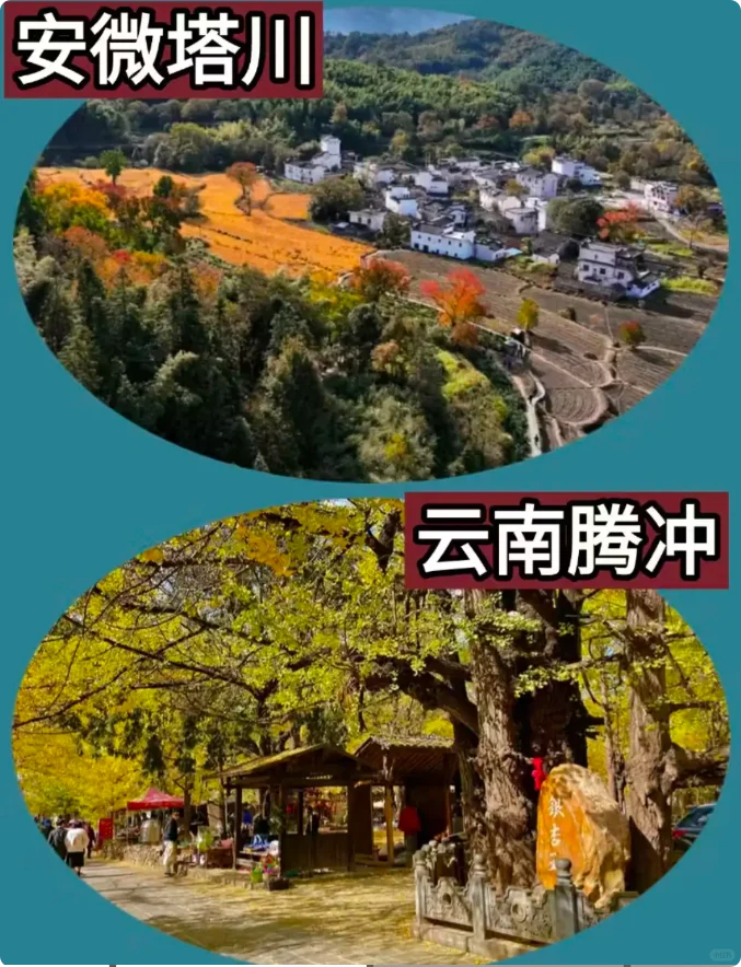 11月最适合去哪旅游