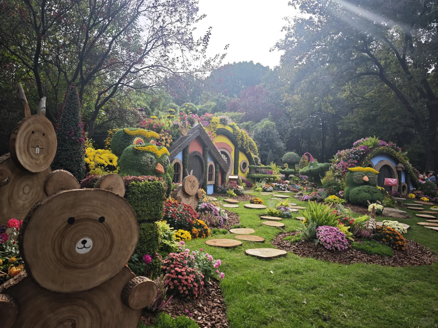 杭州植物园的菊花展，很美，再也不来了