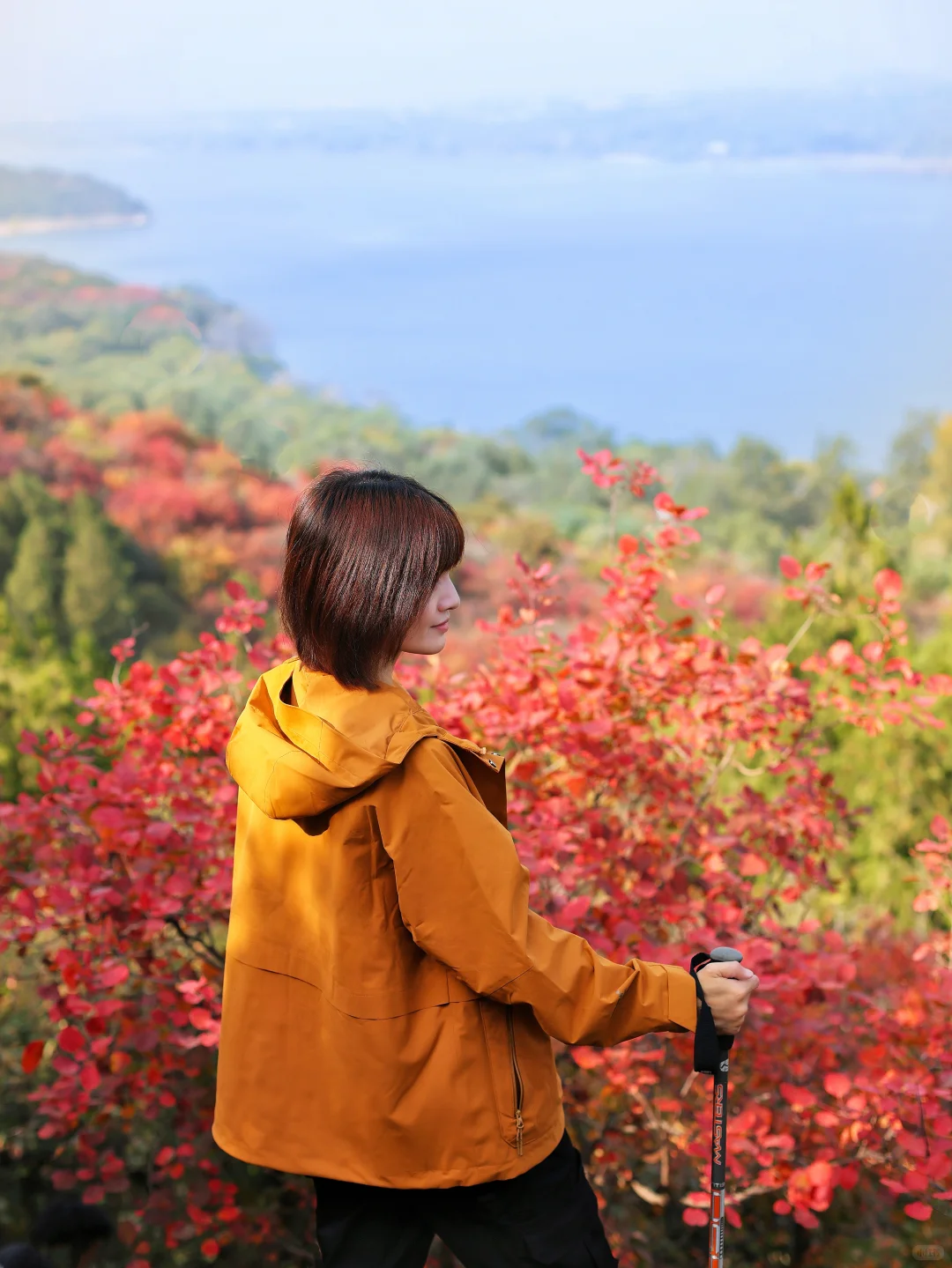 北京30分钟登顶‼️无痛赏红叶🍁公交直达