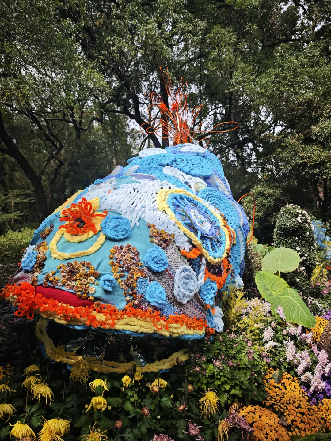 杭州植物园的菊花展，很美，再也不来了