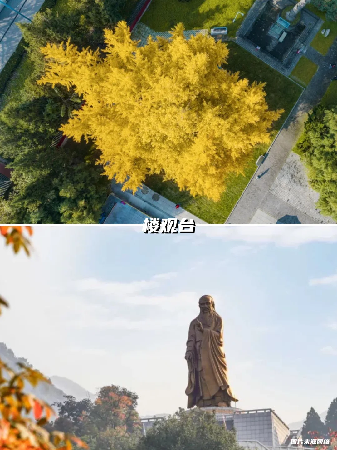 西安银杏天花板!这5️⃣个地方美到封神!